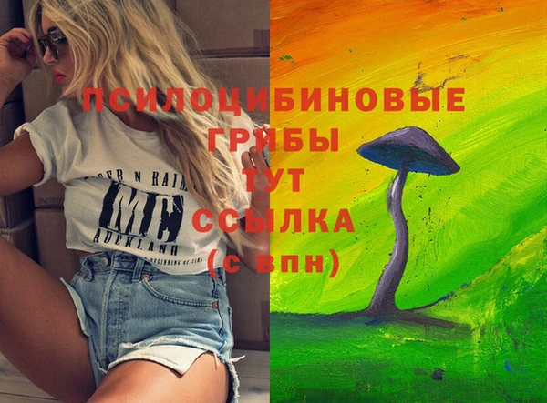 шишки Лиски