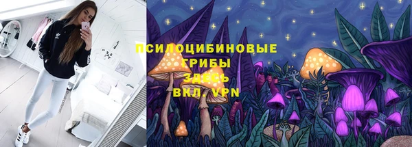 ALPHA PVP Магадан
