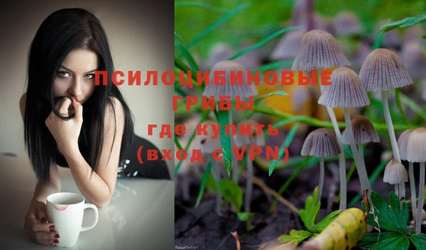 шишки Лиски