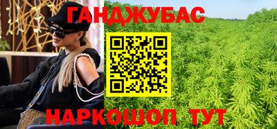 альфа пвп Заводоуковск