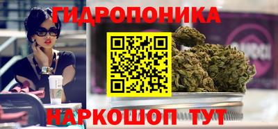 альфа пвп Заводоуковск