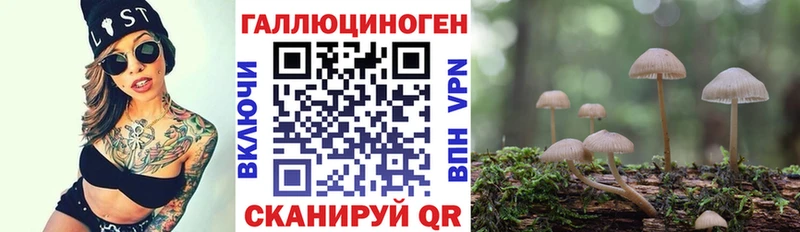 Псилоцибиновые грибы Cubensis  Котлас 