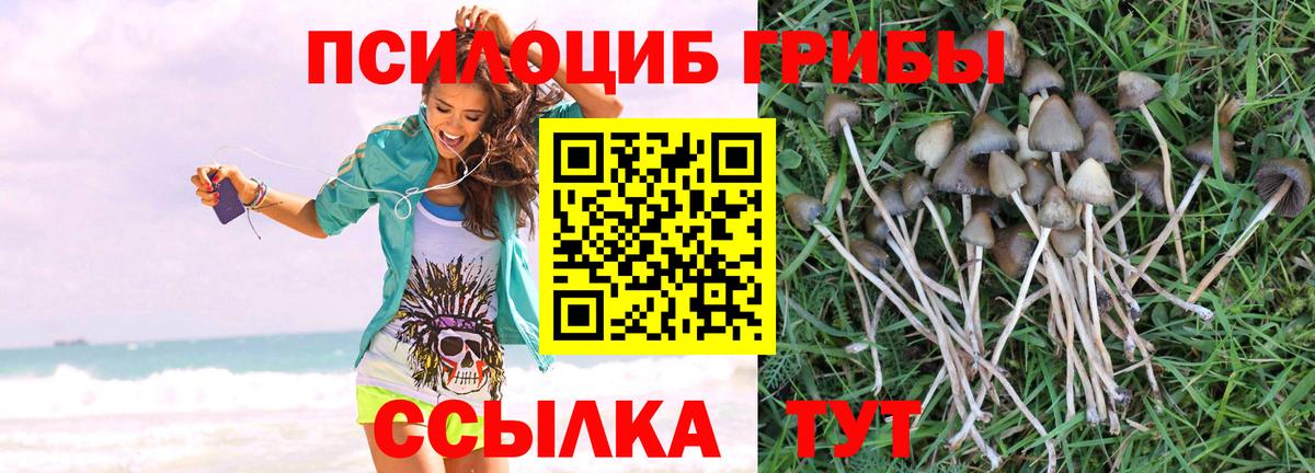Псилоцибиновые грибы Magic Shrooms Котлас