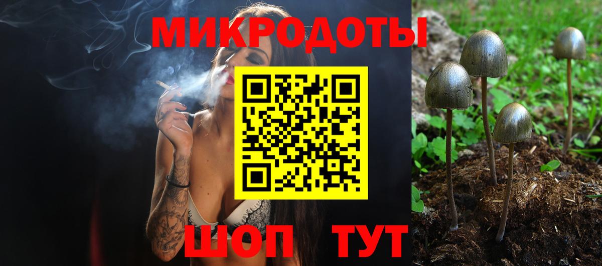 Котлас  Галлюциногенные грибы ЛСД  Вход с VPN 