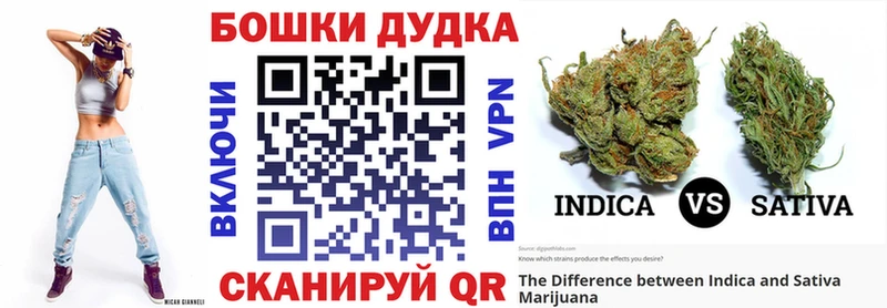 Канабис SATIVA & INDICA Котлас